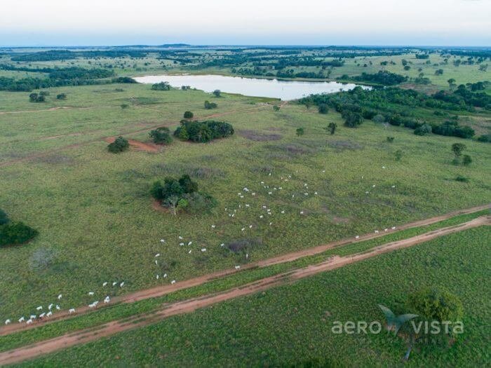 fazenda 13.000 ha